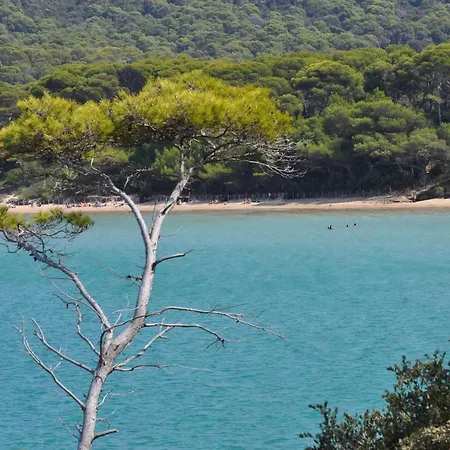 Tres Bel Pour 3 Avec Piscine A Chateau La Londe-les-Maures